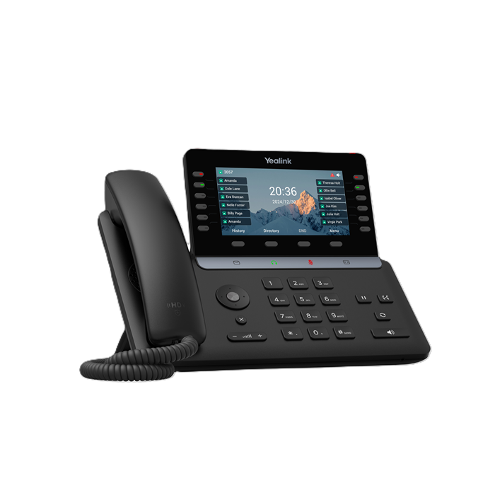 IP Telephones